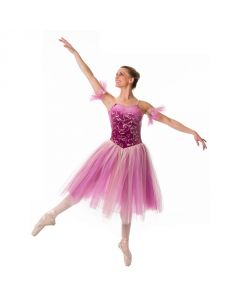 Fairyland Ballet Costume