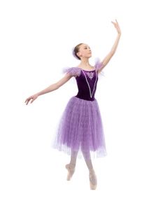 Moonlight Serenade Ballet Costume