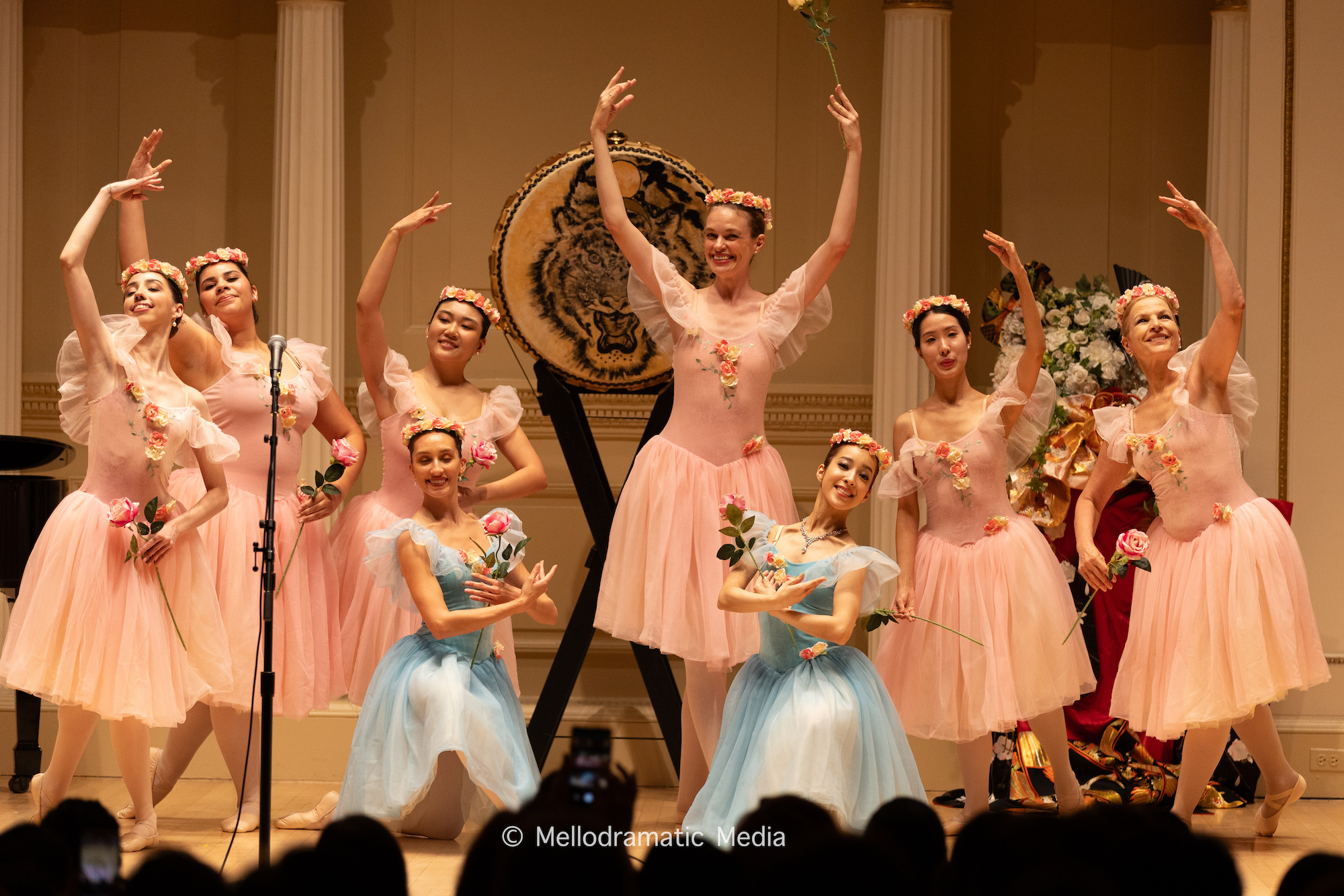 Isabella Torres, Petit Allonge Bella NY